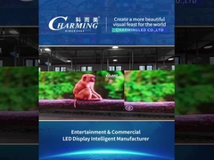 المنتج المستأجر -- اختبار المنتج من سلسلة K 2